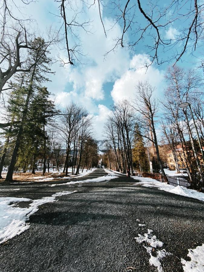 Apartman De Luxe S Vyhladom Na Lomnicky Stit